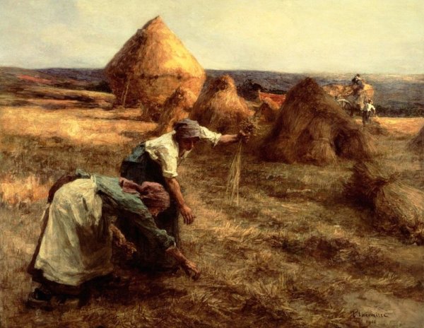 The Gleaners