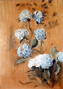 Hydrangeas