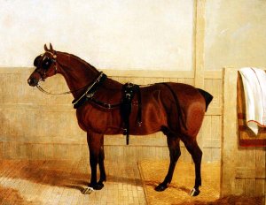 Prize Shire Horse in Harness, 1835