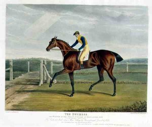 'Filho da Puta', the Winner of the Great St. Leger at Doncaster, 1815