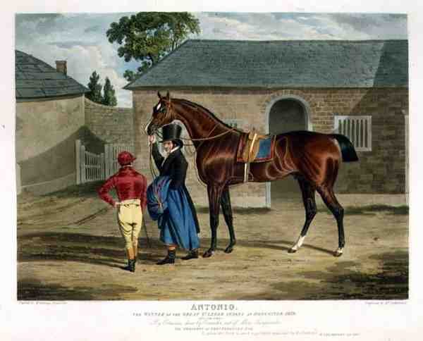 'Antonio', the Winner of the Great St. Leger at Doncaster, 1819