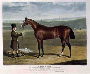 'Cadland', the Winner of the Derby Stakes at Epsom, 1828