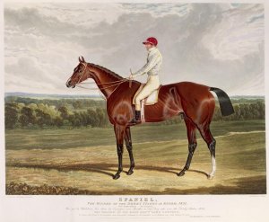 Spaniel', the Winner of the Derby Stakes at Epsom, 1831