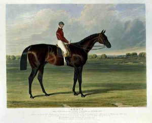 'Amato', the Winner of the Derby Stakes at Epsom, 1838