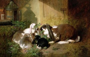 Rabbit Fanciers