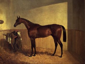 A Corner of a Farmyard with a Boy Sitting on a Grey Horse and a Goat eating nearby