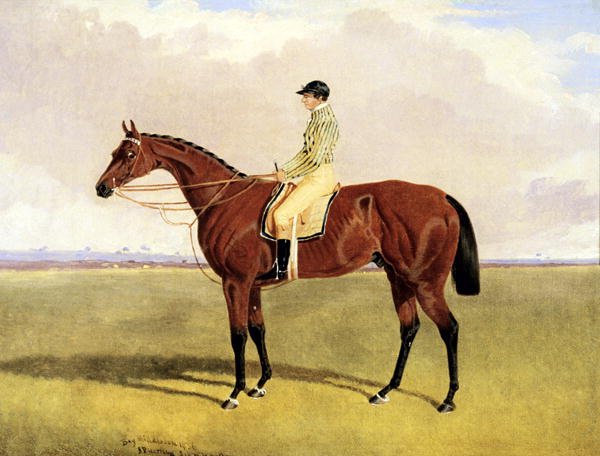 'Bay Middleton' with Robinson, 1836