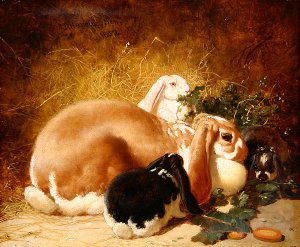 Rabbits, 1852