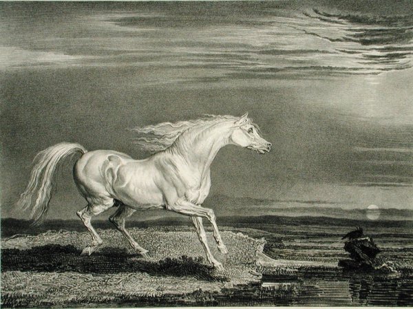 Marengo, from Celebrated Horses, a set of fourteen racing prints published by the artist, 1823-24