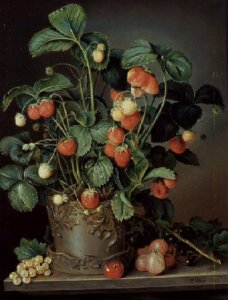 Still life with strawberries