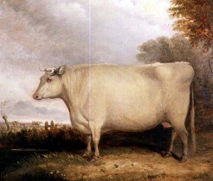 White, Short-horned Cow in a Landscape