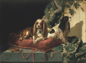 King Charles Spaniels