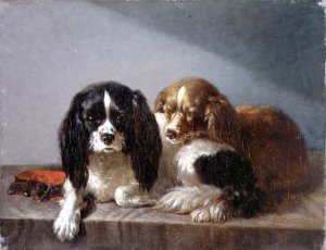 King Charles Spaniels 2