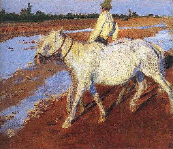 Horses 1899