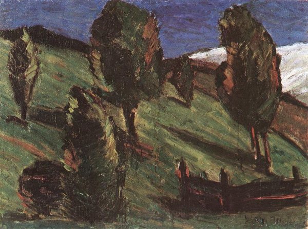 Transylvanian landscape 1925