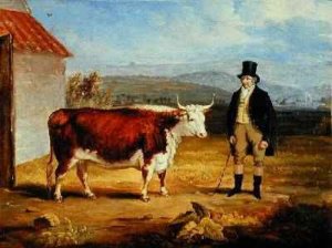 Mr James Hodges and his Two Year-Old Hereford Heifer 1843