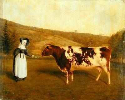 Shorthorn Cow 1840-50