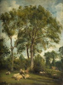 Landscape with Sheep