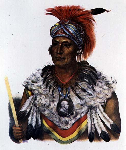 Wapella or the Prince Chief of the Foxes