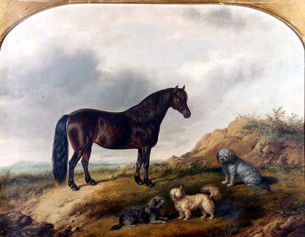 A Pony and three Terriers in a landscape