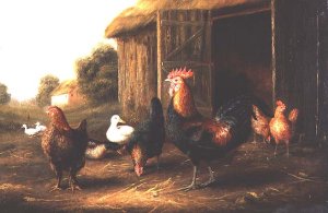 Chickens and Ducks in a Farmyard