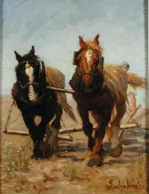 The Ploughing Team Sussex Downs