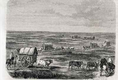 Wagon Train on the Argentinian Pampas in the 1860s