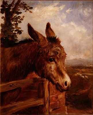 A Donkey at a Gate