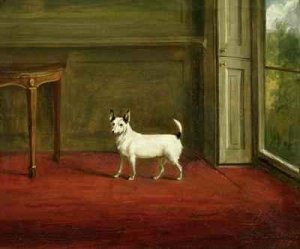 Portrait of a Jack Russell Terrier in Regency Interior