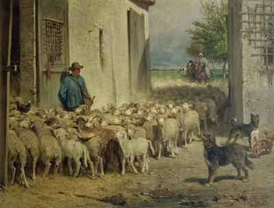 Return to the Sheepfold