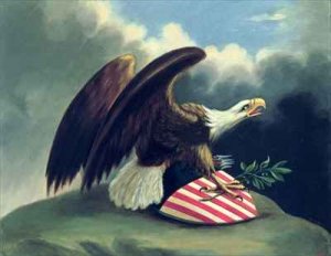 Bald Eagle and the Shield of the United States