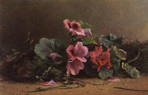 A Study of Geraniums