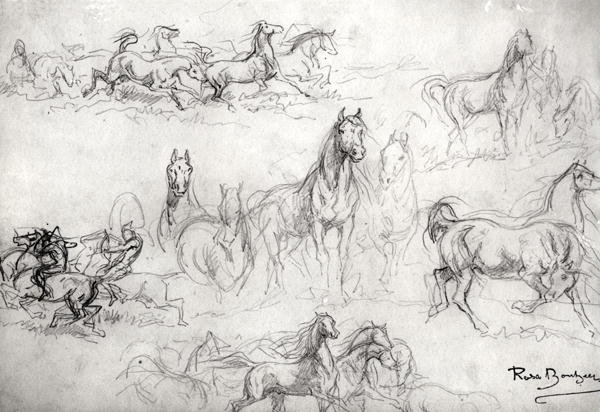 Study of Horses