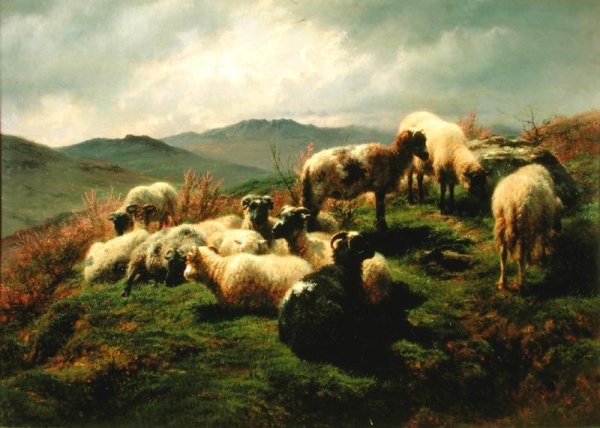 Sheep in the Highlands 1856