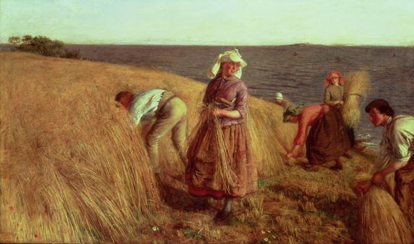 The Harvest