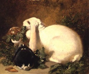 A Doe Rabbit and her two young, 1852