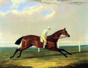 'Tarrare' ridden by George Nelson