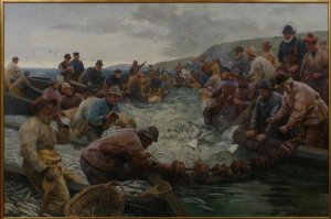 Tucking a School of Pilchards, 1897