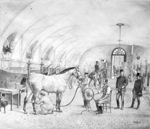 The Royal Stables: morning grooming