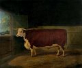 Richard Whitford