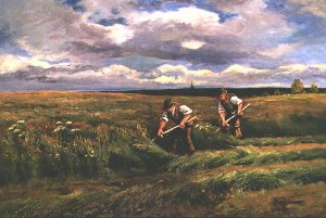 The Hay Harvest