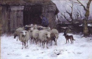 Sheep on a Winters Morning