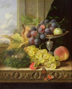 Still life of fruit a tazza and a birds nest