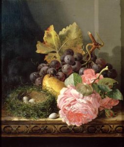 Still life roses fruit and birds nest