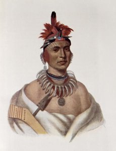 Chon Ca Pe or Big Kansas an Oto Chief