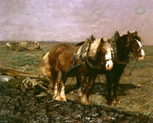 Ploughing