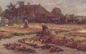 The Market Garden