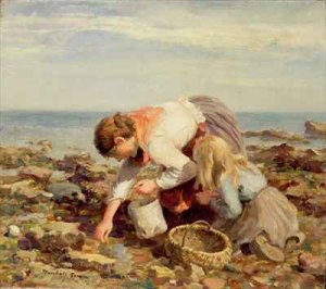 Collecting Shells