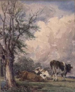 A Study of Cattle 2