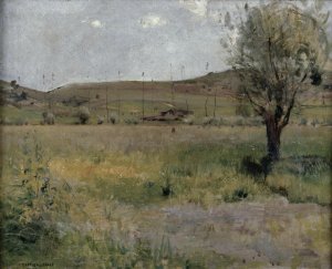 Summer landscape